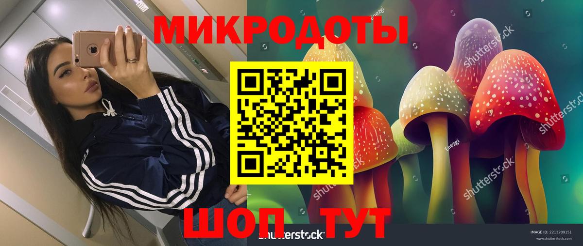 Котельники  Галлюциногенные грибы Psilocybe  Псилоцибиновые грибы мицелий  Вход с VPN 